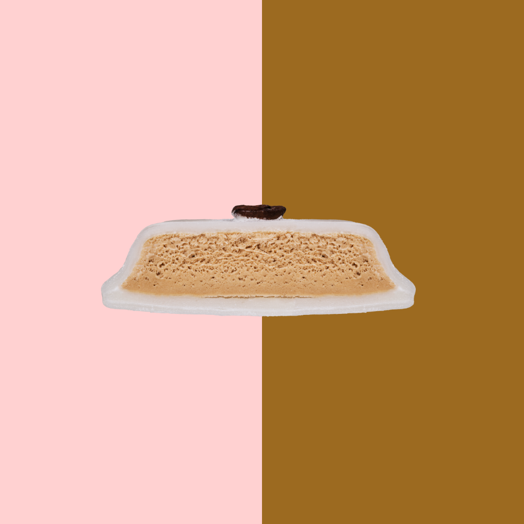ASSORTED DAIRY ICE CREAM MOCHI